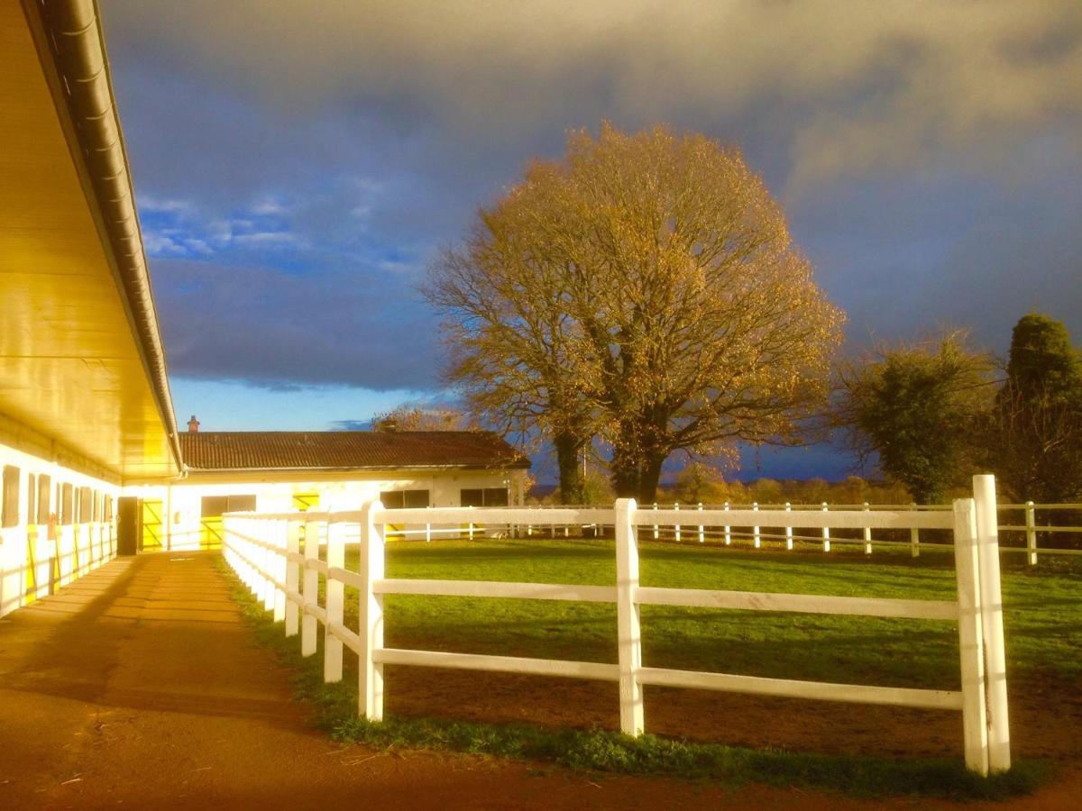 Апартаменты Le Haras Du Favry Palinges Экстерьер фото
